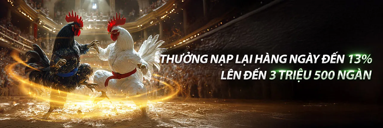 Đá Gà Trực Tuyến Hấp Dẫn tại Kubet77